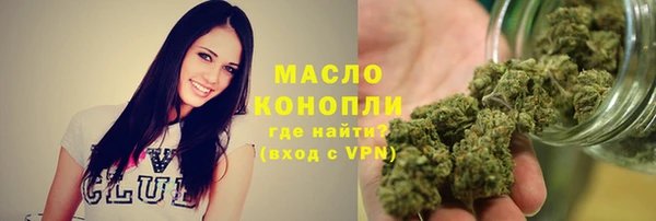 дмт Богородицк