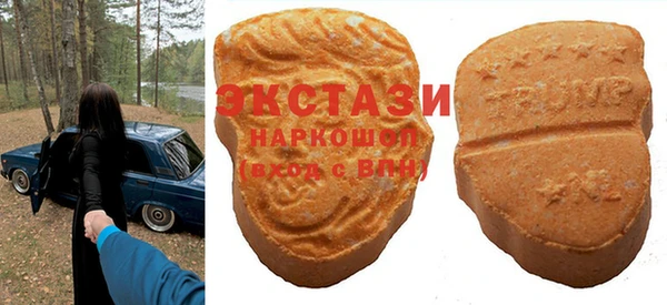 дмт Богородицк